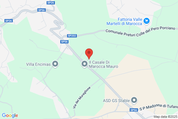 Frattali Fernando