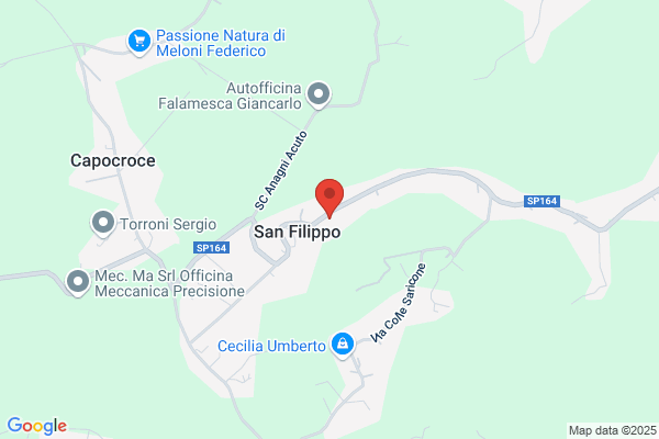 Piemme Dental Sas Di Matrigiani Paola