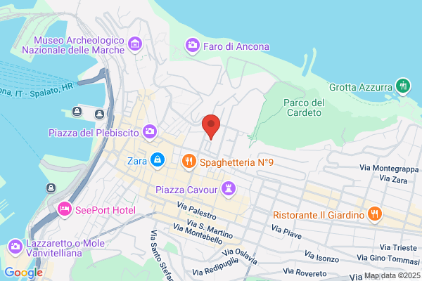 Toelettatura 4 Zampe in Città