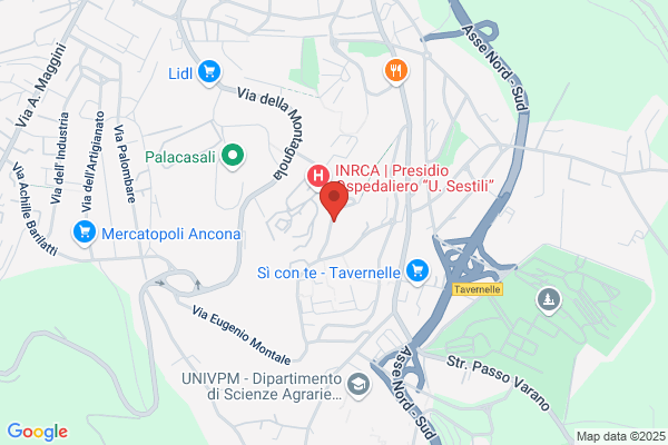 La Bottega Della Calza