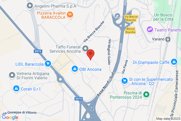 M.V. Snc Di Morini M. & C.