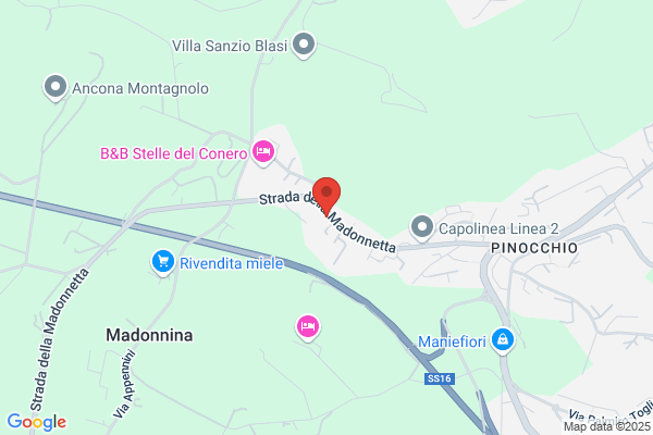 Ronconi giulio