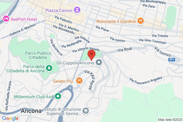 Azienda Istituto Cardioreumatologico G.M. Lancisi