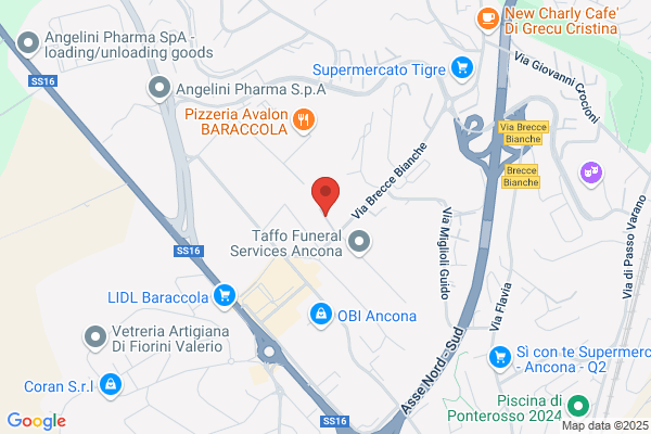 Artedorica