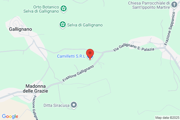 Camilletti maria Grazia