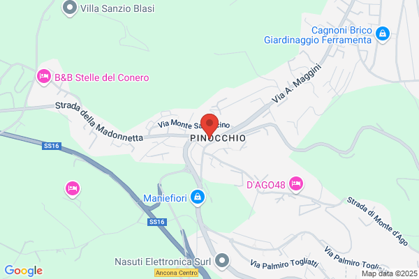 Pizzeria Del Pinocchio Snc