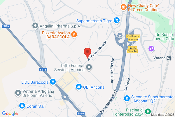 Accorroni Service S.r.l