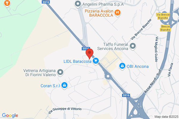 Extreme Sport & Fitness Ssd Palestra