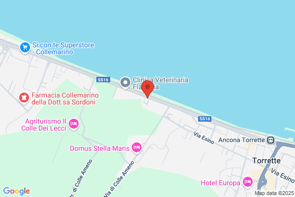 Stannah Point - Centro Ortopedico Marchigiano