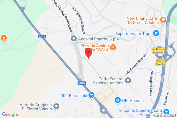 Service 3 Euroconfini Srl