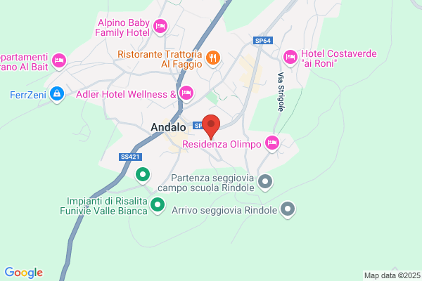 Sassdei Suite Hotel - Andalo