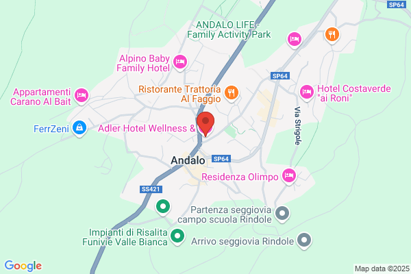 Adler Hotel Wellness & Spa