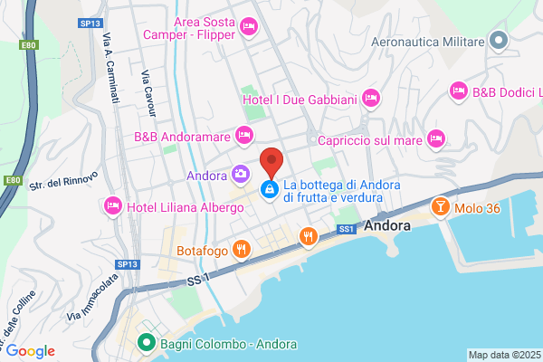 Laser Informatica Ligure