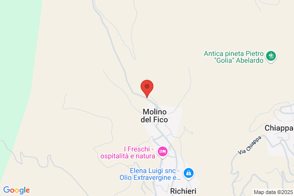 Ardoino Giuseppe Snc