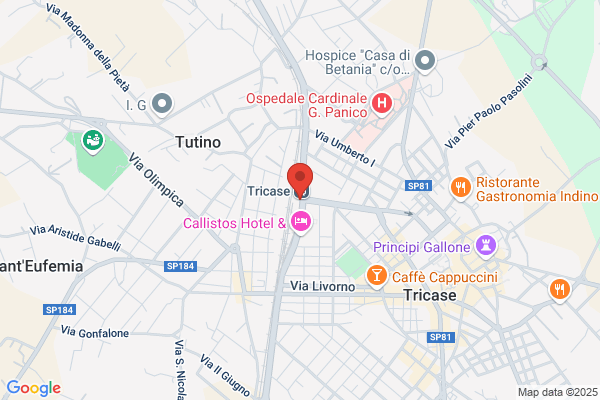 Ferrovie Del Sud Est E Servizi Automobilistici Srl