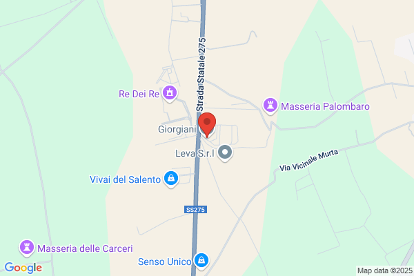 Grafiche Giorgiani Di Giorgiani Amedeo Amedeo