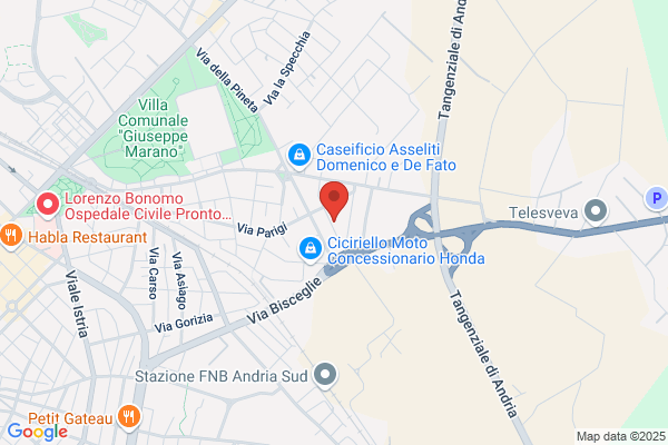 Elettric Motor Service Di Gazzillo Matteo. Lorusso f.Sco & antonio Sn
