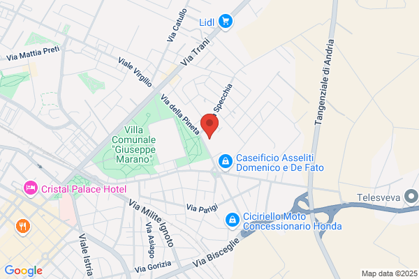 Eventi Di Matera Nunzia & C. Sas