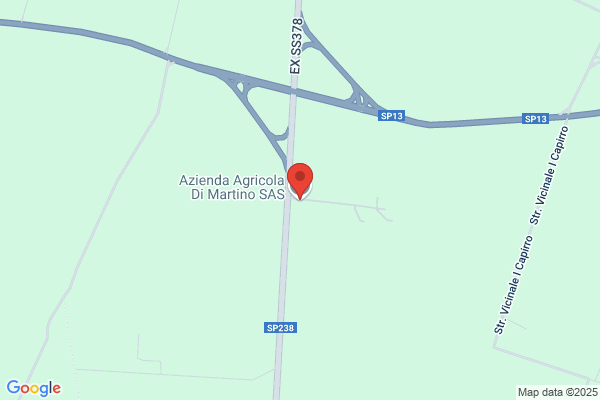 Martino Fratelli F. & R. (S.N.C.)
