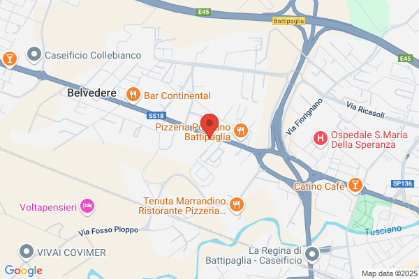 New Confservice Srl