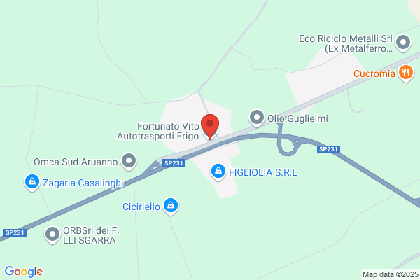 Fortunato Nicola