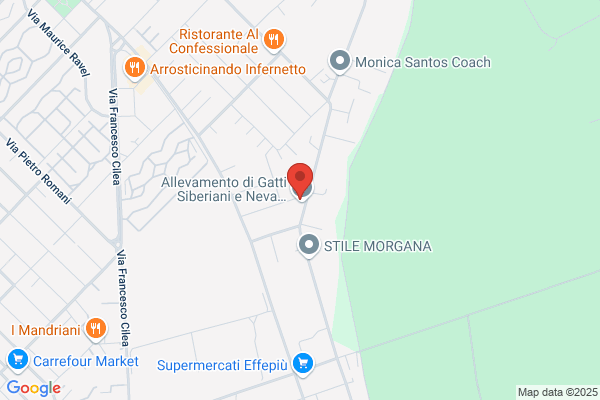 Euroimpianti S.N.C.