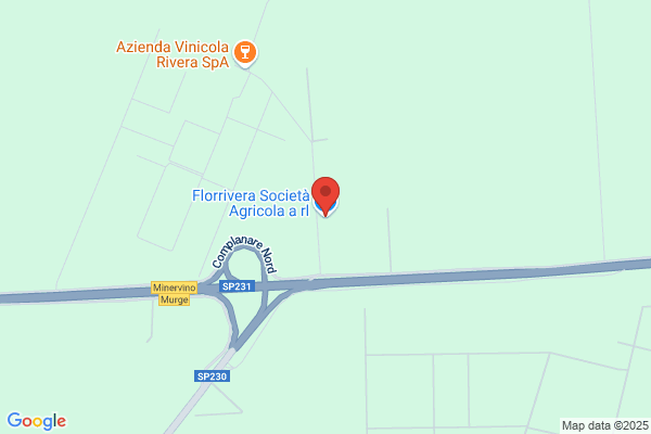 Florrivera Srl