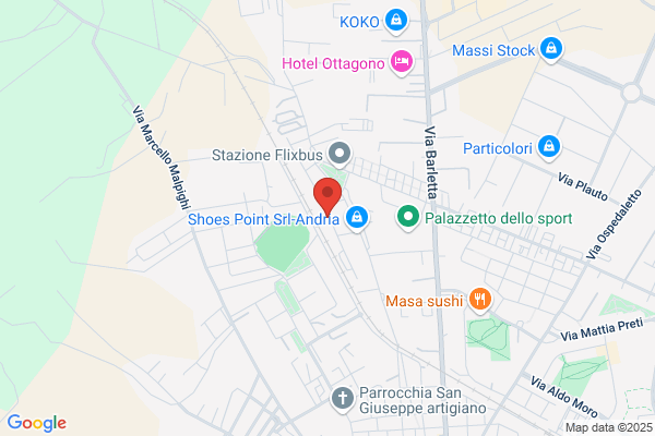 Zingaro francesco