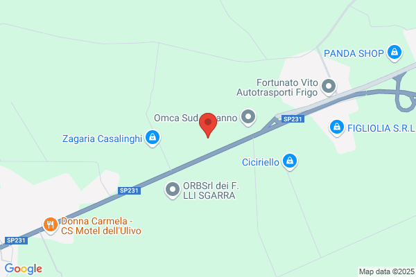 F.Lli Zingaro Srl
