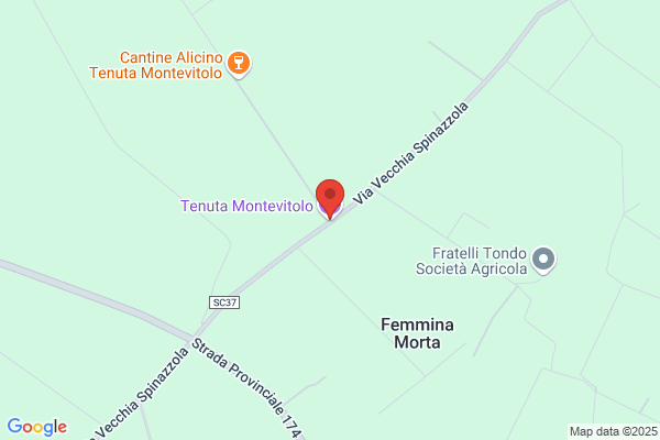 Tenute Ulivi (S.R.L.)