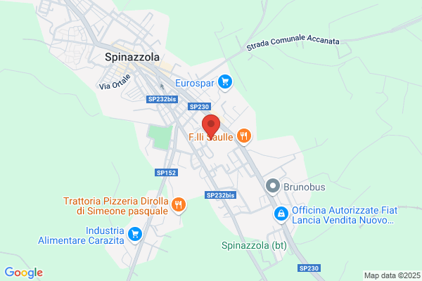 Gruppo Di Az.Locale Murgia Degli Svevi Srl-Pal. Di citta