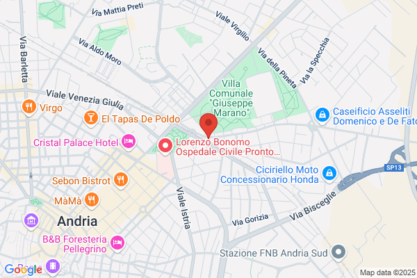 Istituto Carlo Levi Srl