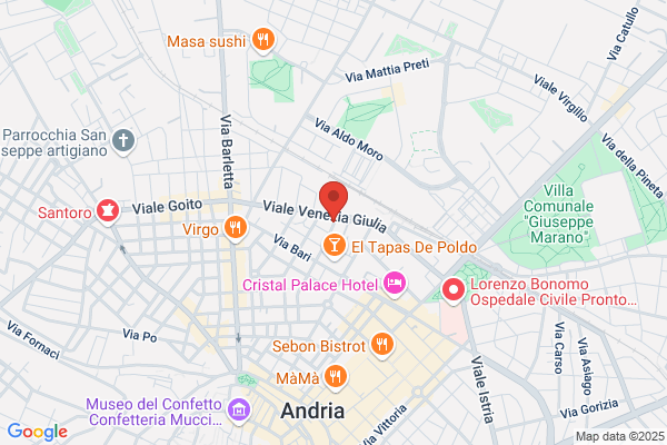 Istituto Meridionale Di Vigilanza Srl