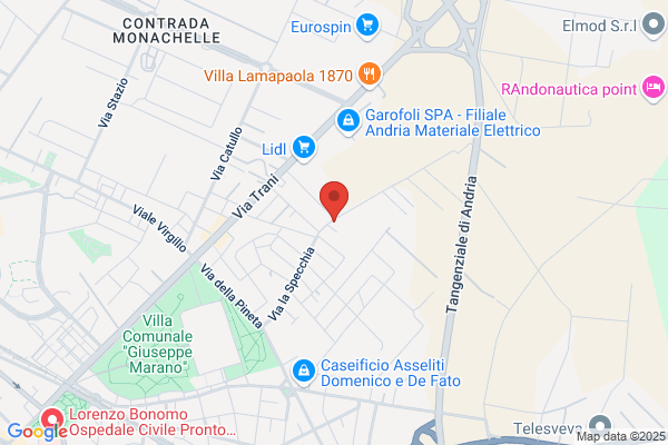 Ortosveva Srl