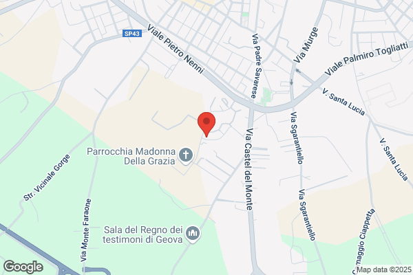 Protec Di Prodon P.I. Claudio