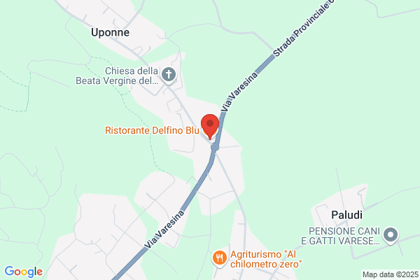 Ristorante Delfino Blu