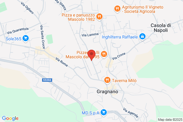 Istituto Vincenzo Damato