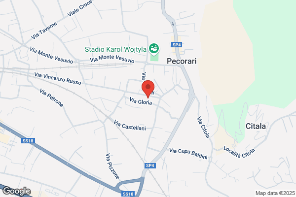 Pecoraro vincenzo