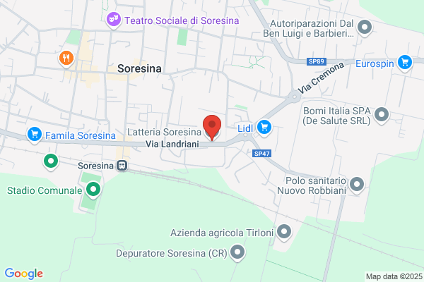 Latteria Soresinese Soc.Coop.R.L.