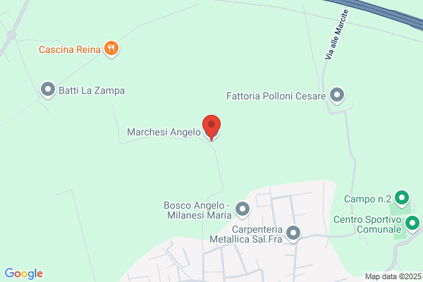Marchesi angelo