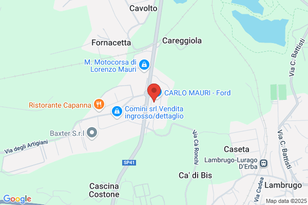 Carlo Mauri Ford