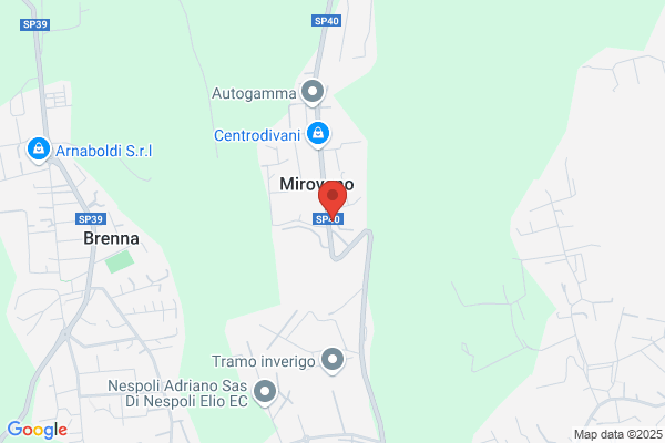 Ristorante Trattoria Il Fungo