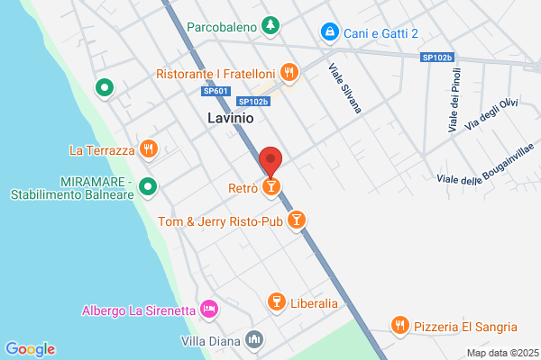 Immobiliare Enea 81 Srl
