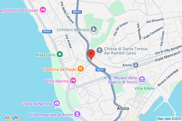 Pace assicurazione srl