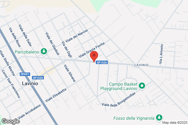 Pettirossi E Borsetta S.N.C.