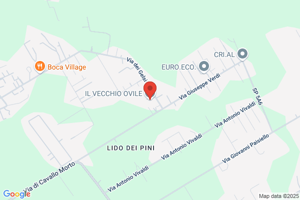 Ovidi luigi