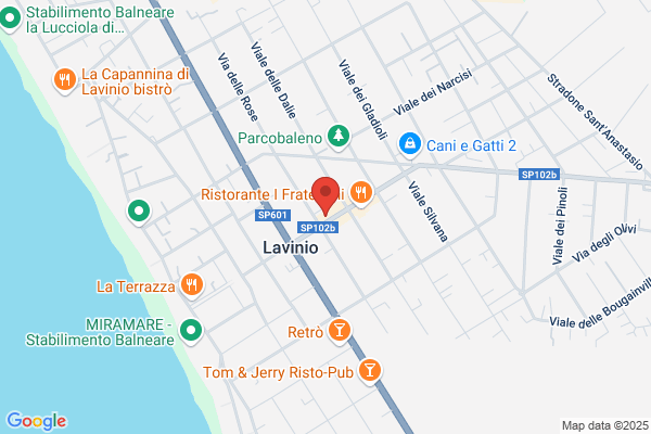 La Coccinella Di Laurenti Rosanna