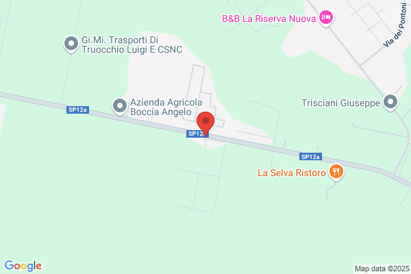 Tappeti Erbosi Beccia Prati