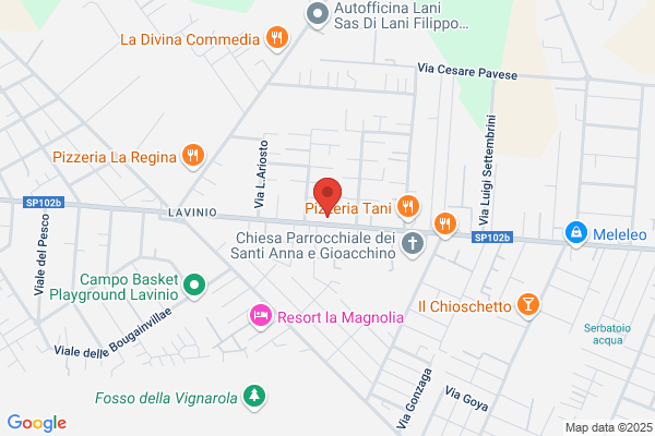 Non Solo Hi Fi Di Maltese A.
