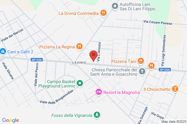 Pietrangeli domenico